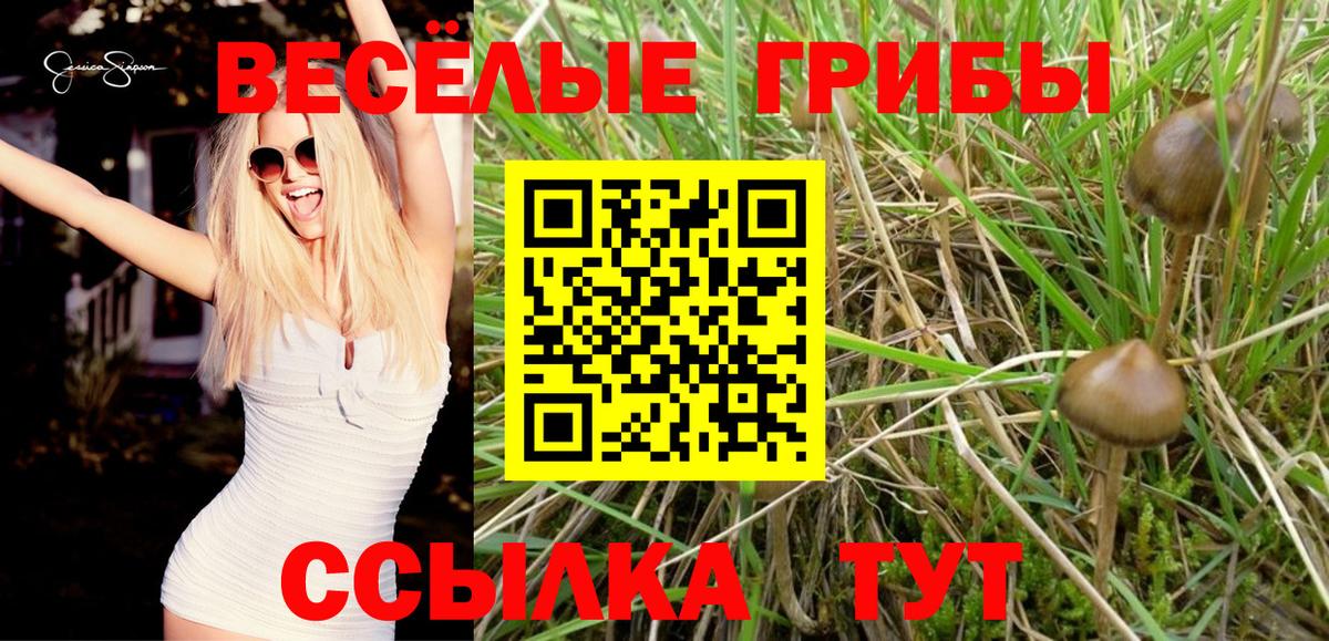 Галлюциногенные грибы Magic Shrooms Конаково