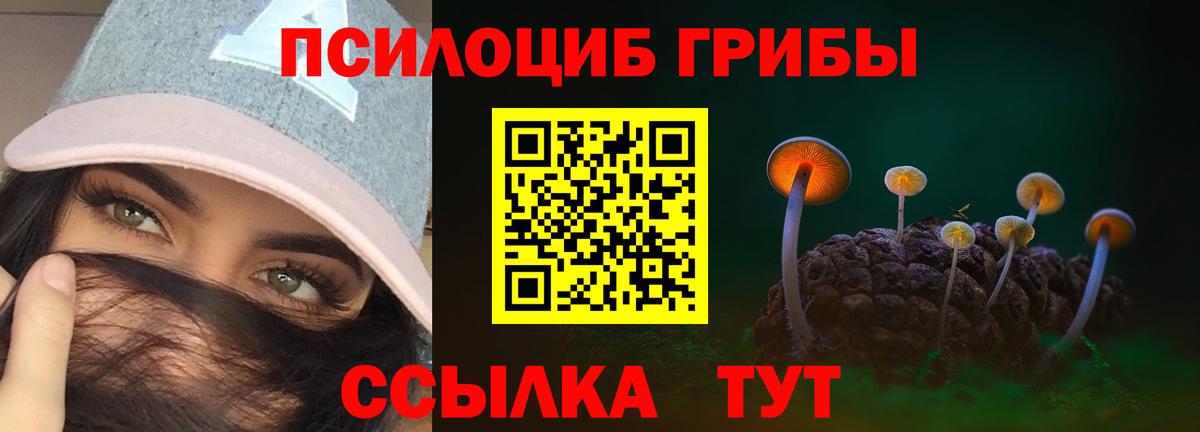Конаково  Галлюциногенные грибы мухоморы  Псилоцибиновые грибы Magic Shrooms  Вход с VPN 